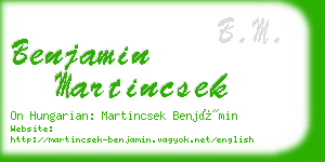 benjamin martincsek business card